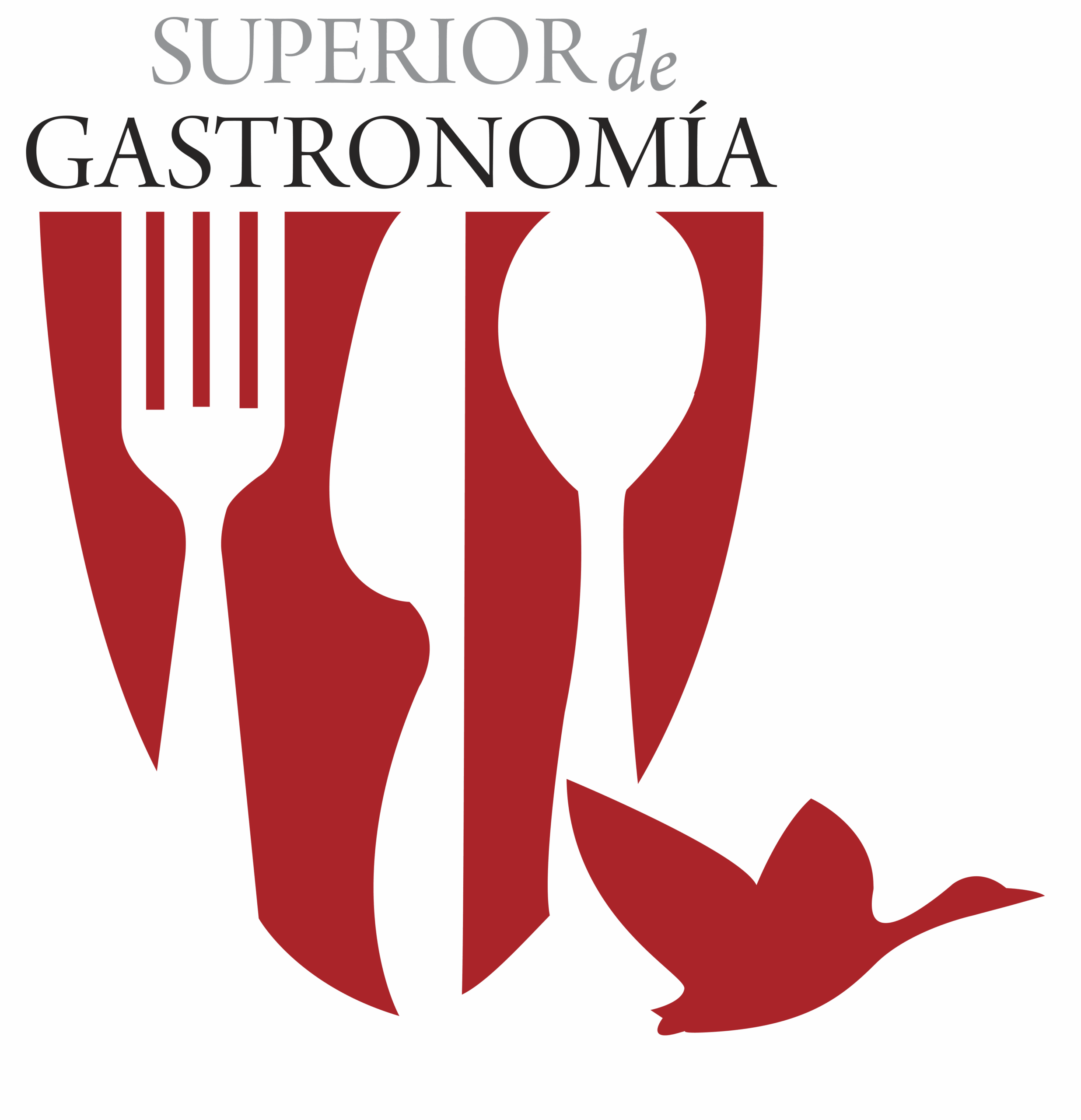 Colegio Superior de Gastronomia